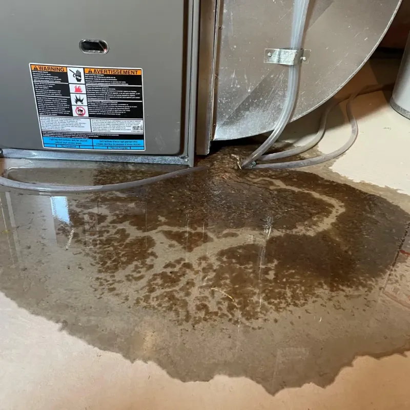 Appliance Leak Cleanup in Etowah County, AL